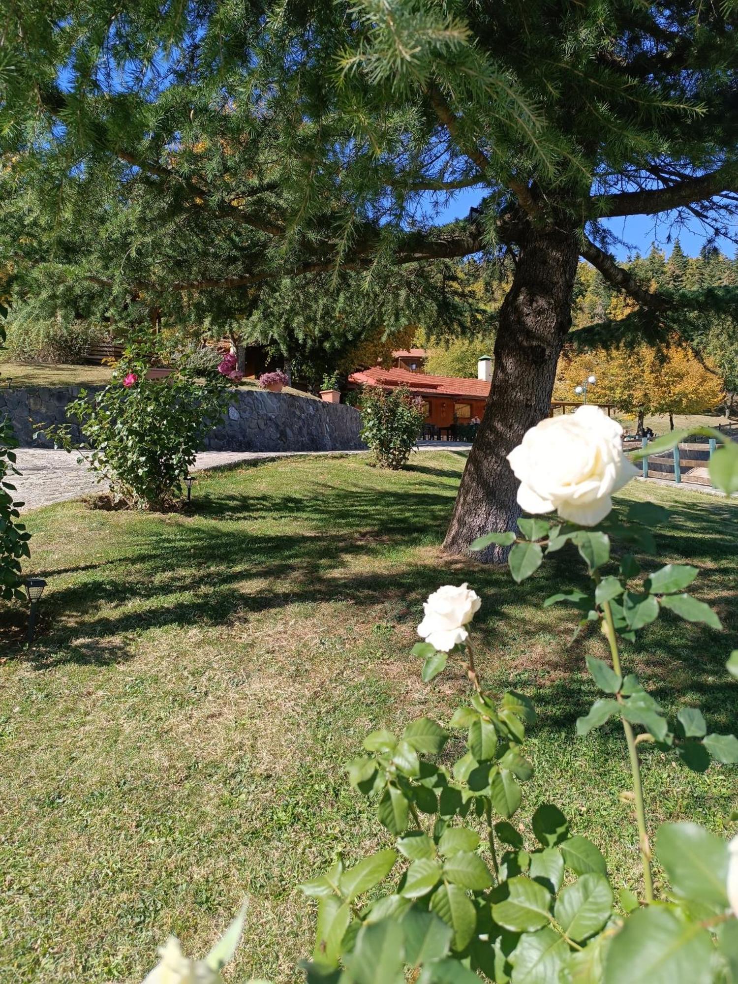 Livadaki Village Megali Kapsi 外观 照片