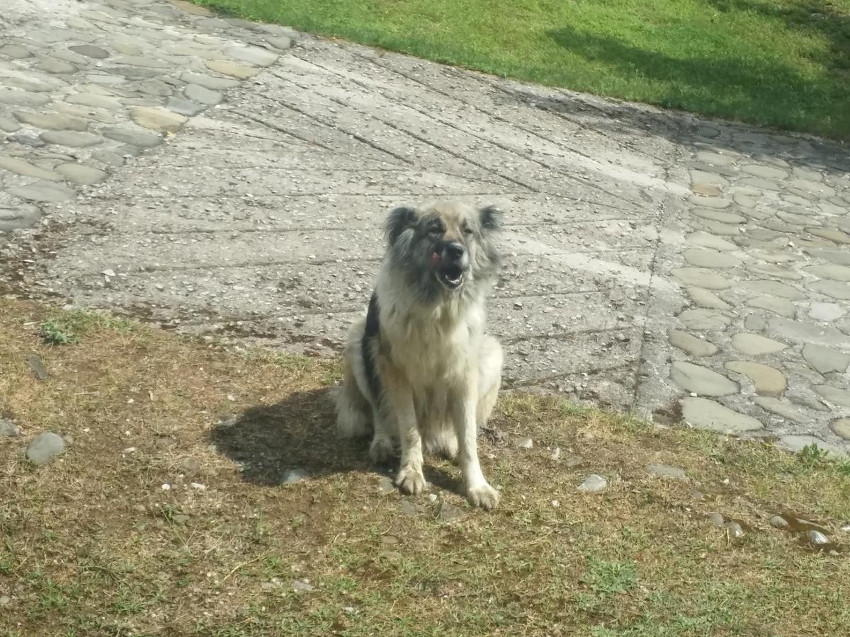 Livadaki Village Megali Kapsi 外观 照片