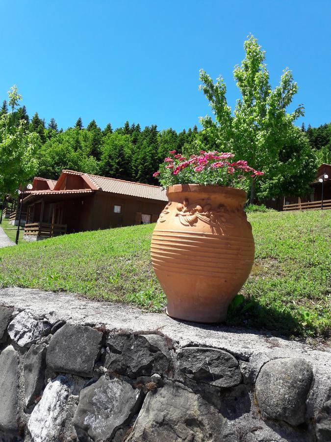 Livadaki Village Megali Kapsi 外观 照片