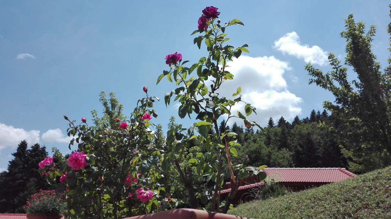 Livadaki Village Megali Kapsi 外观 照片
